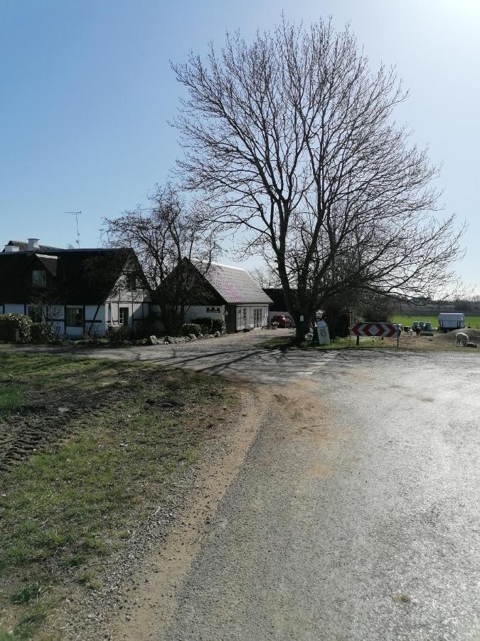Byens Rareste B&B Harlev  Kültér fotó
